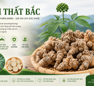 COMBO 5KG TAM THẤT BẮC TẶNG 1KG AN XOA HOẶC 100GR TAM THẤT BẮC