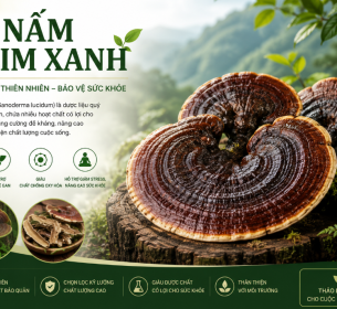 COMBO NẤM LIM XANH MUA 5KG TẶNG 1KG XÓA TAM PHÂN CẮT LÁT