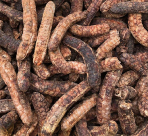 CHUỐI HỘT RỪNG