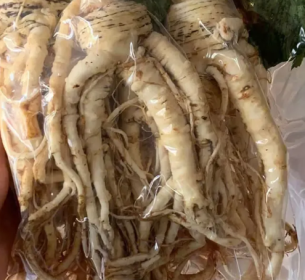 SÂM ĐƯƠNG QUY